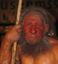 Neandertaler_reconst