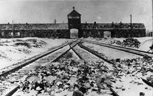 ausschwitz_birkenau